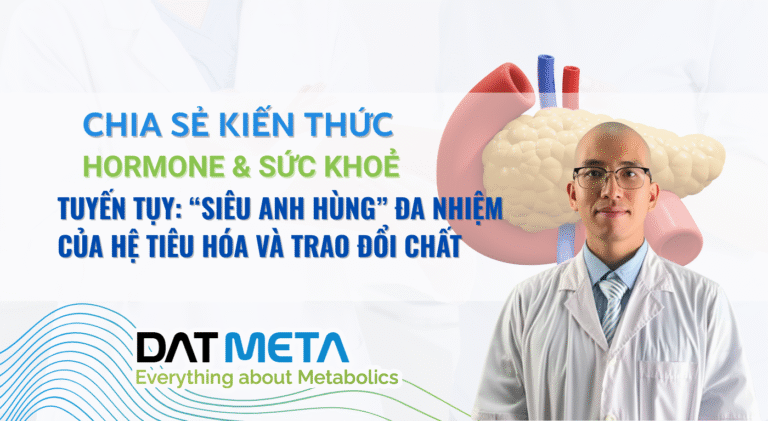 Tuyến Tuỵ: Siêu anh hùng đa nhiệm