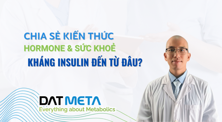 Kháng Insulin đến từ đâu?