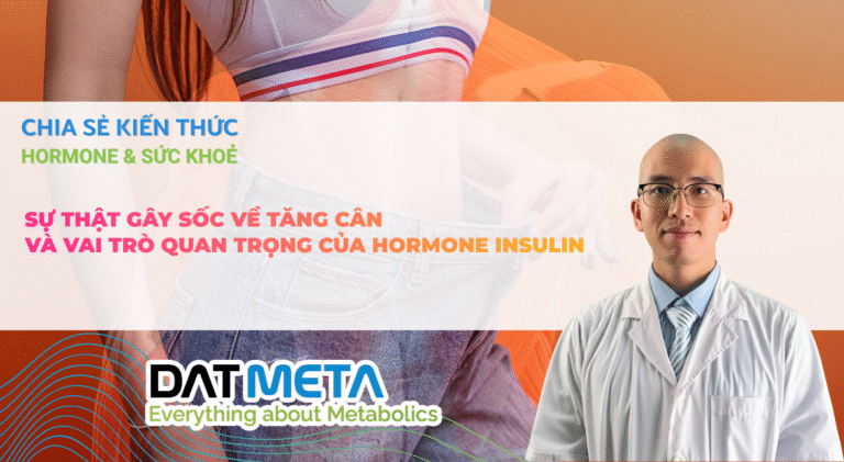 Sự Thật Gây Sốc Về Tăng Cân Và Vai Trò Tối Thượng Của Hormone Insulin